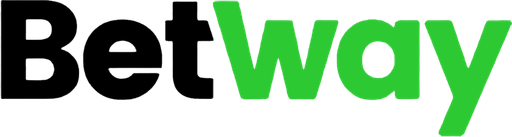 betwaynepal.com Logo